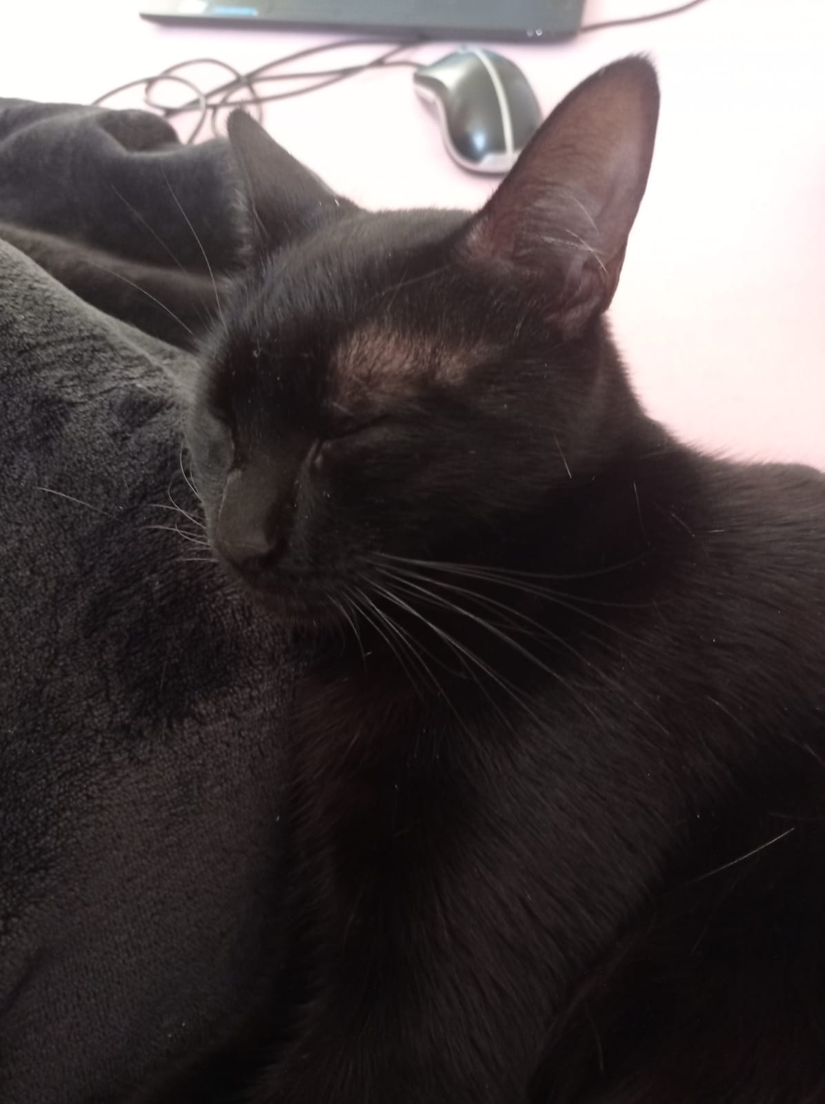 IMG 20220408 WA0000 1